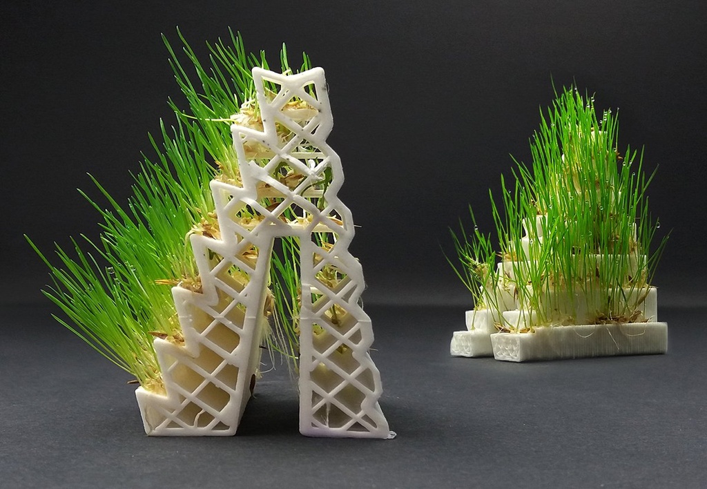 Filamento GROWLAY de LayFilaments - 1,75 mm - 250 gramos - Marrón