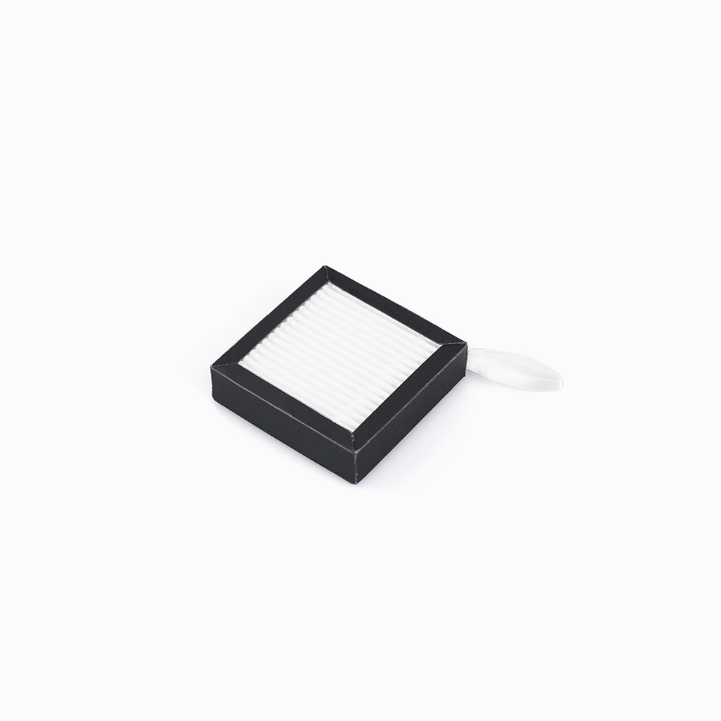 Filtro de aire Raise3D E2